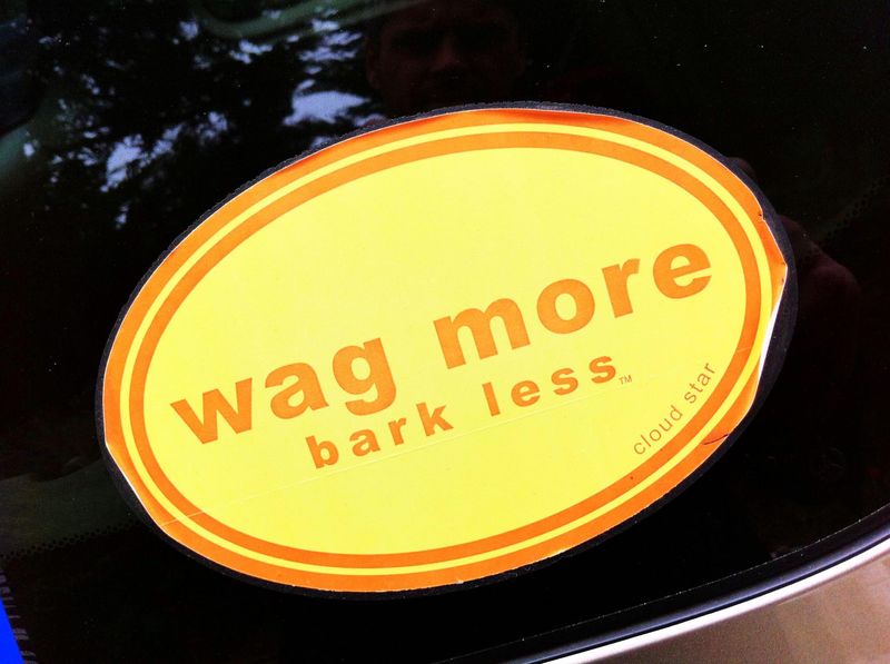 Wag more